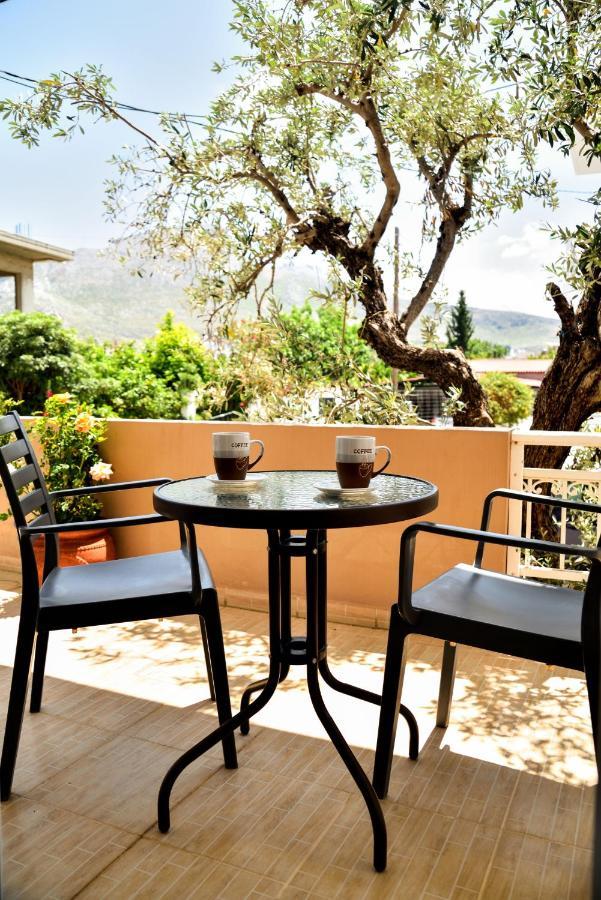 Antonios Apartments Archangelos  Exterior foto